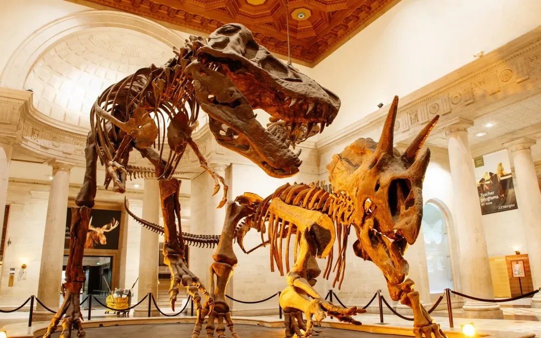 Natural History Museum of Los Angeles County — the Place With Three T. Rex Skeletons in One Room