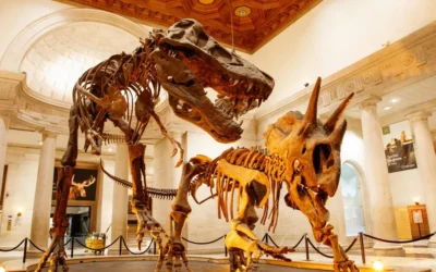 Natural History Museum of Los Angeles County — the Place With Three T. Rex Skeletons in One Room