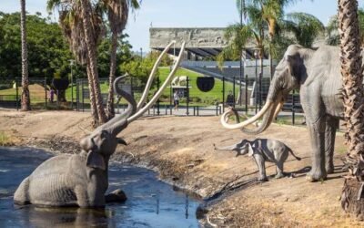 La Brea Tar Pits and Museum Los Angeles — the Strangest Place in the Middle of the City