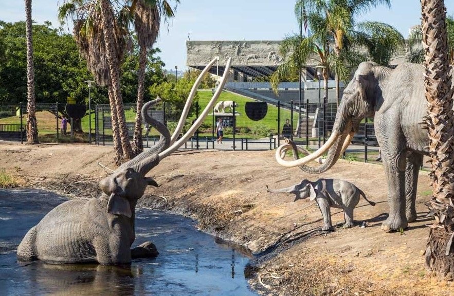 La Brea Tar Pits and Museum Los Angeles — the Strangest Place in the Middle of the City