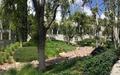 Skirball Cultural Center and the Ark that People Visit For