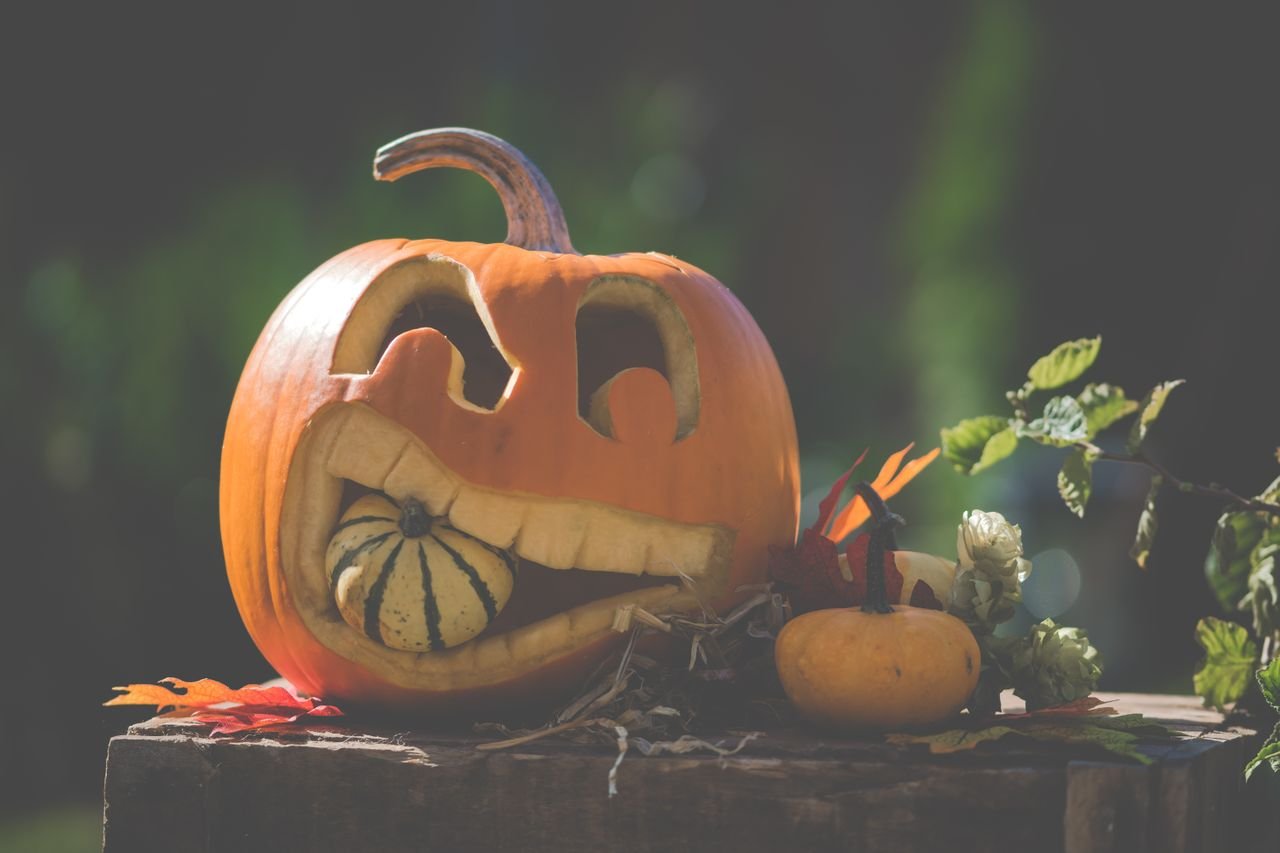 Cute pumpkin carving ideas with painted and no carve pumpkins