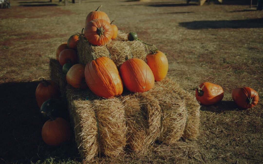 Pumpkin Patches in Los Angeles and Near Me